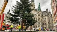 strom liberec 125883043 1556028744602625 319368989509834619 n